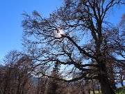 Ai faggi secolari del Menna dal Passo dell’orso ad anello da Zorzone – 27ott25   -  FOTOGALLERY